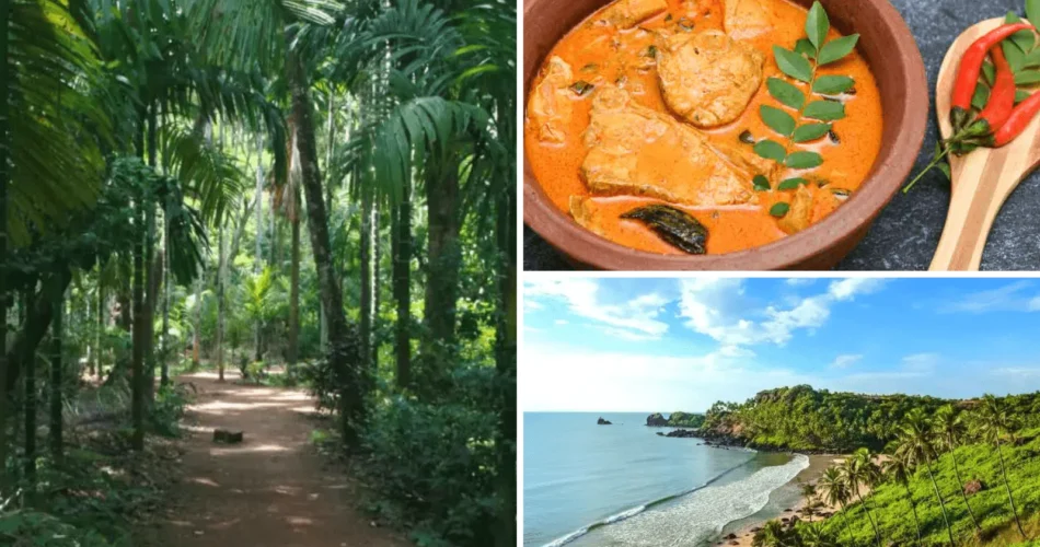 attractions in south goa